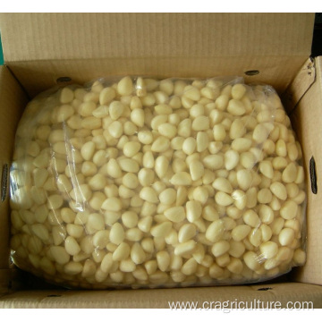 First Delivery Nitrogen Pack Garlic Cloves